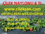 MALÇ-NAYLONU-ÇİLEK-NAYLONU-MALÇ-ÖRTÜSÜ-ÇİLEK-ÖRTÜSÜ