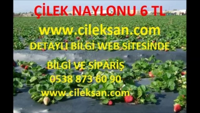 malç-naylonu-fiyatı,malç-naylonu-fiyatları,çilek-naylonu-fiyat,çilek-örtüsü