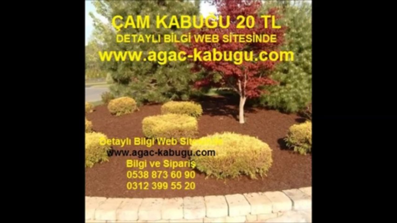 AĞAÇ KABUĞU,ağaç-kabuğu,ağaç_kabuğu