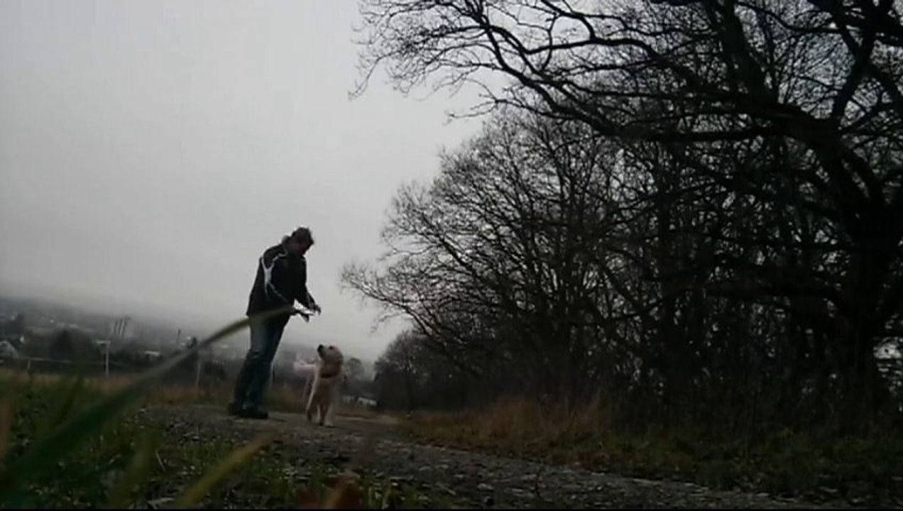 Mit Dillon unterwegs