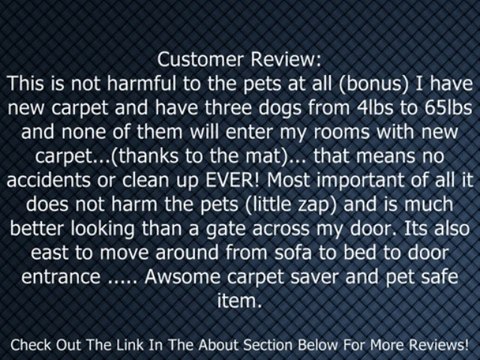 PetSafe ScatMat Electronic Pet Training Mat, Small Review