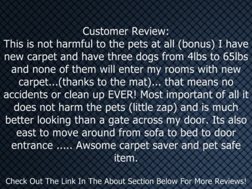 PetSafe ScatMat Electronic Pet Training Mat, Small Review