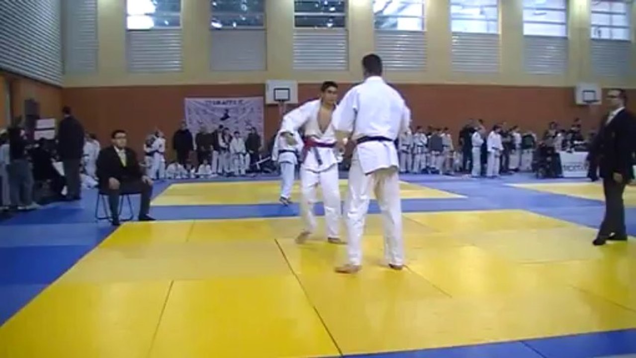Coupe des Rois Romans sur Isère Saison 2013/2014
