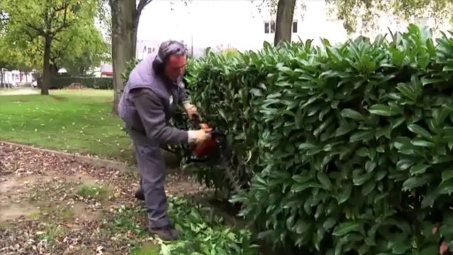 La VAE dans les Pays de la Loire - Nantes Habitat