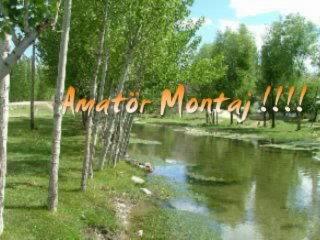 Ali Dedeoglu - Yavuz Elinde