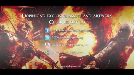 Dragon's Dogma - Pawn Sharing