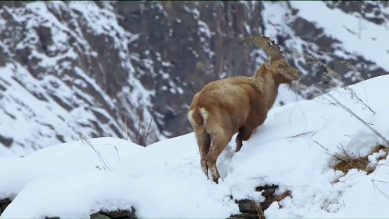 LÀ-HAUT SUR LA MONTAGNE  - Introduction