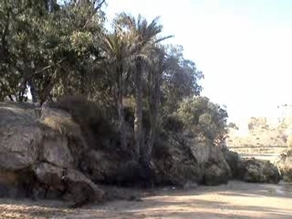 port say marsat ben m'hidi algerie