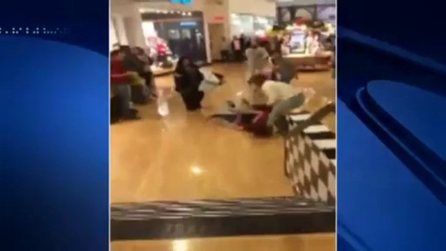 BLACK FRIDAY 2013- MULTIPLE FIGHTS AND TASER! (Public Mall)