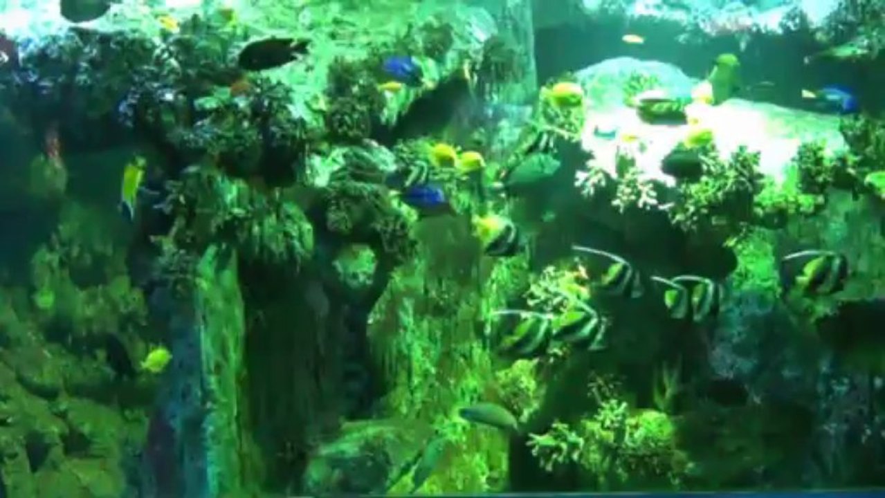 Aquarium de Vannes