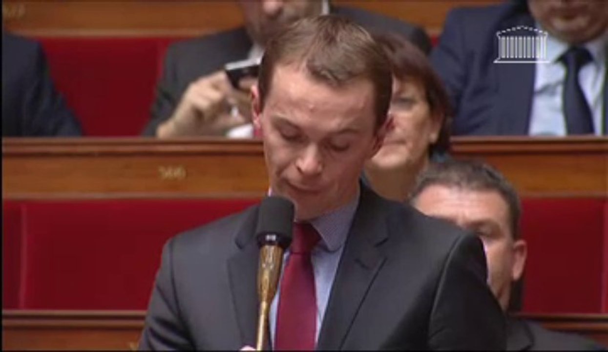 Question au Gouvernement sur la réforme de l'organisation territoriale le 15 janvier 2014