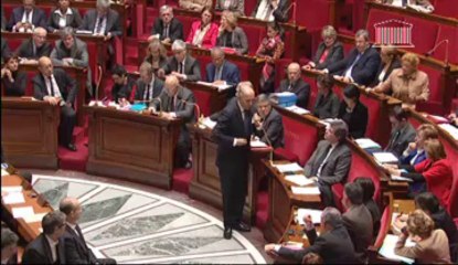 Pierre Lellouche - Centrafrique