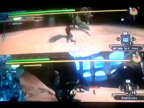 [MH3] Partie Arène - Rathian