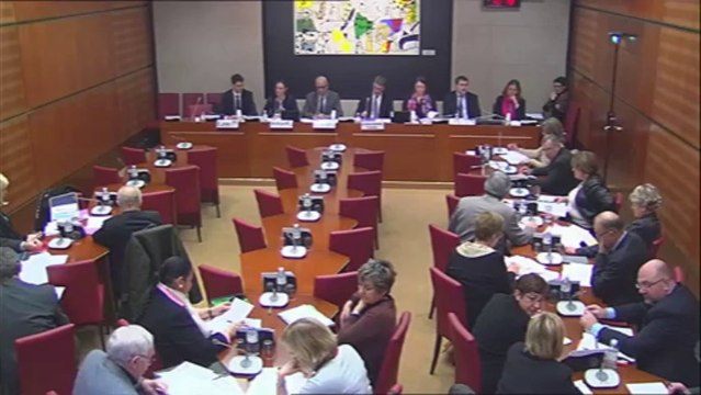 Intervention d'Hervé Féron en Commission des Affaires Culturelles et de l'Education : rapport sur l'apport de la culture à l'économie en France