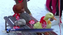 Tiere liefern sich harten Ski-Wettkampf