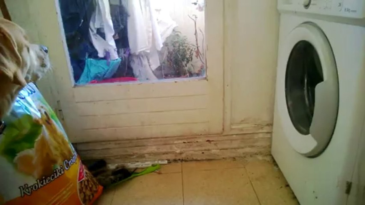 youki et la machine à laver 11 mois plus tard