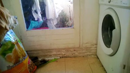 youki et la machine à laver 11 mois plus tard