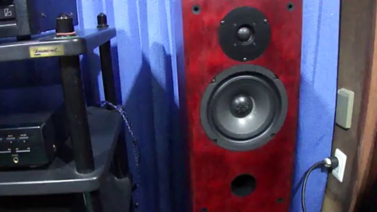 lungyim~Axis LS33 Loudspeakers