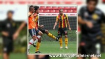 Ver Chivas vs Leones Negros UdeG En Vivo15 de Enero del 2014 Copa MX