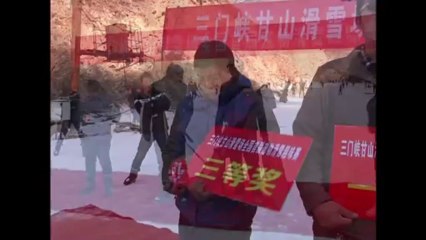 Tartaruga vence lebre em corrida