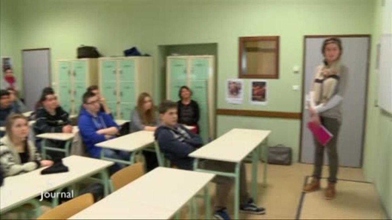 Education : Les classes internationales (Vendée)