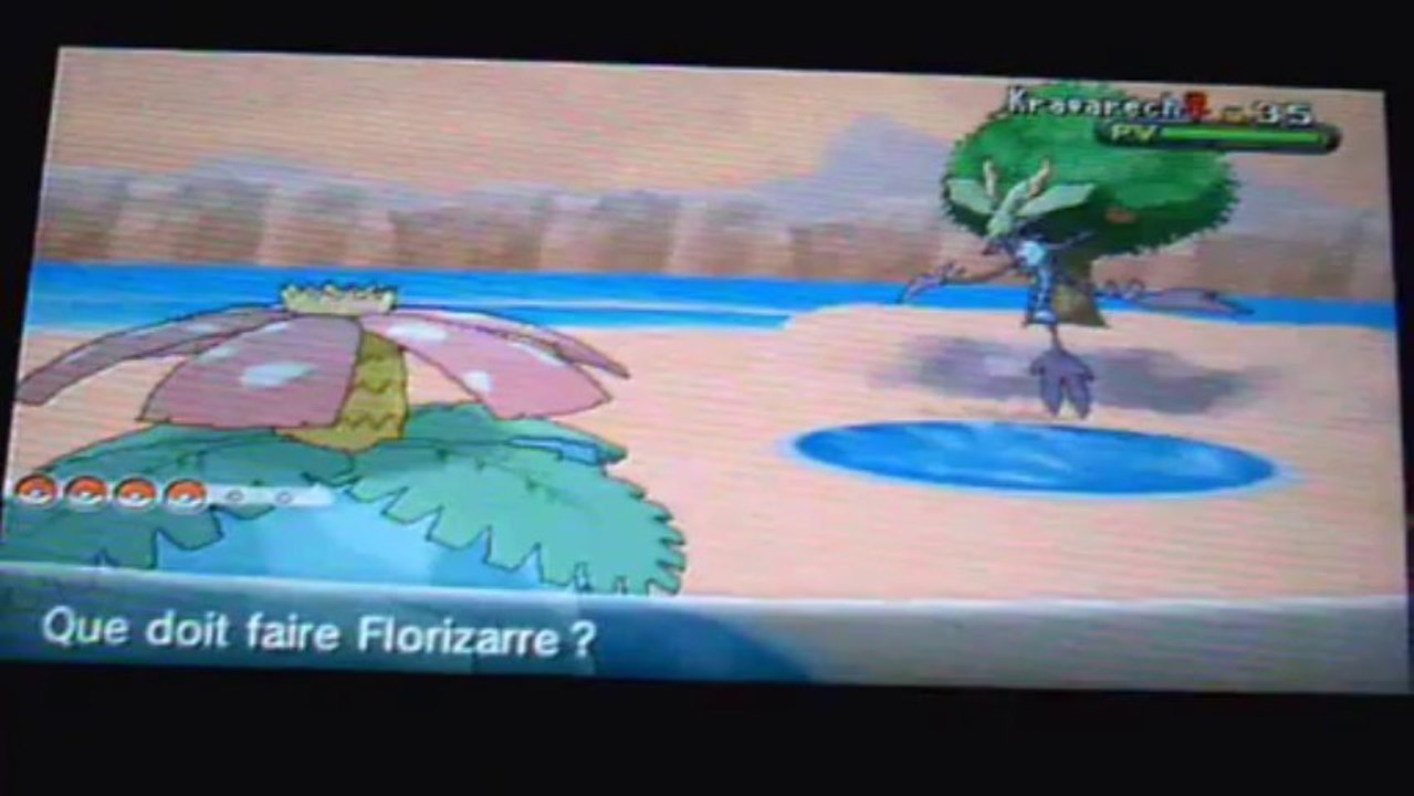 Kravarech shiny
