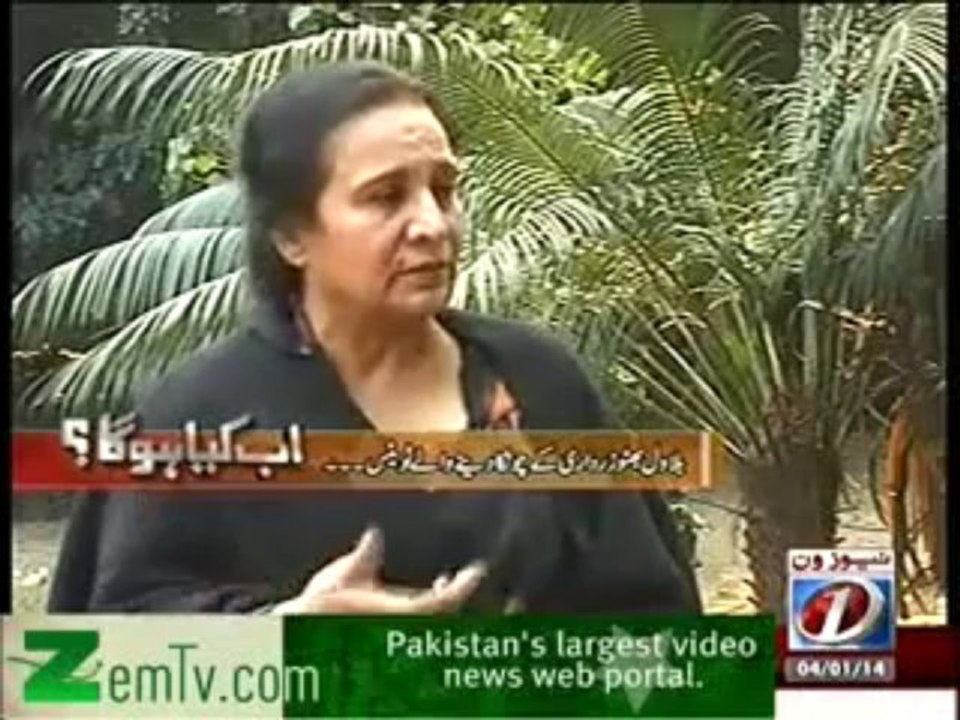 Ab Kiya Hoga (4th January 2014) Zardari Sahab G...