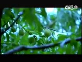 Đặt mua thịt trâu gác bếp Sơn La Điện Biên tại Hà Nội vui lòng gọi 0975.70.78.75 giá tốt hottt