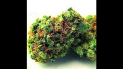 San Jose Marijuana Dispensary - Amsterdam's Garden