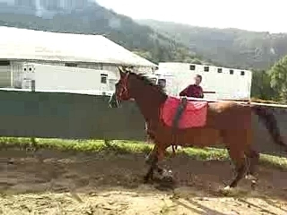 paisha ete 06