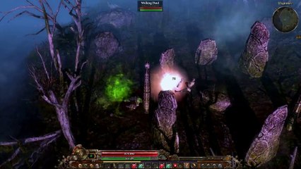 Grim Dawn - Promenade bucolique (Soldier)