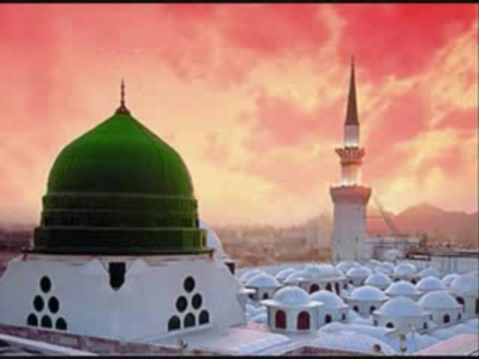 عراقي مستبصر