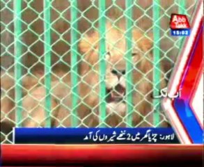 AbbTakk Headline 03 PM - 16 January 2014