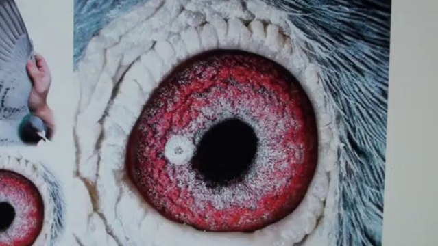 8495 brat dolce vita siostra dolce npo champions veenstra kulbacki bank sex anal oral bumsen vagina