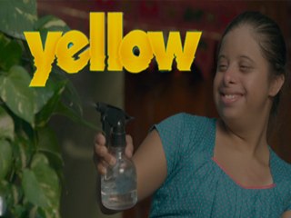 Bollywood Reacts To Riteish's Marathi film 'Yellow'