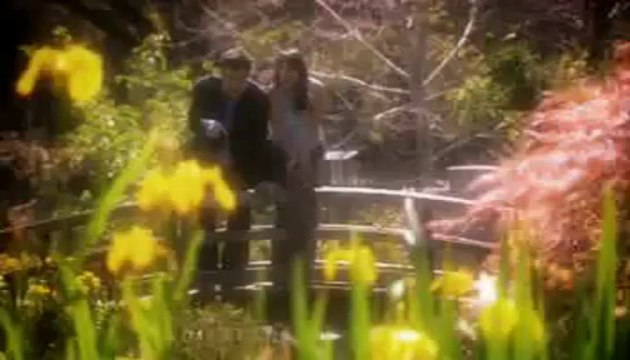 История компании NSP, сетевой маркетинг