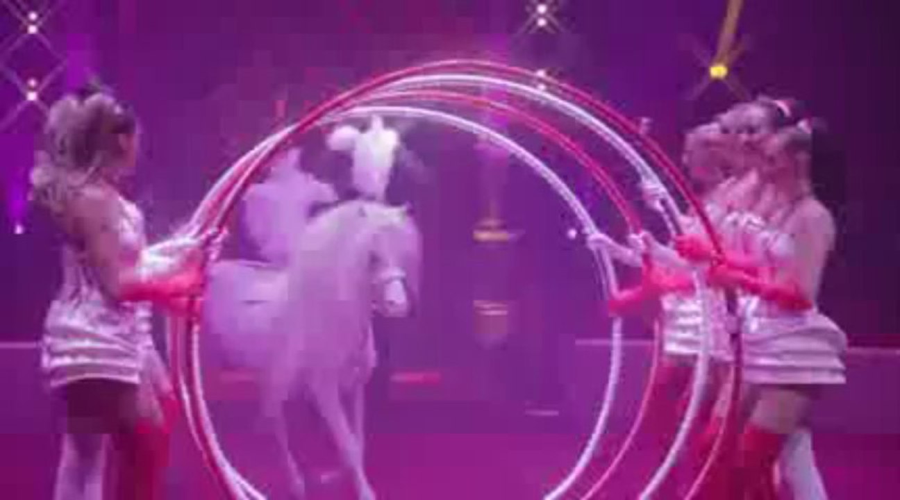 CIRQUE D'HIVER BOUGLIONE-Phénoménal