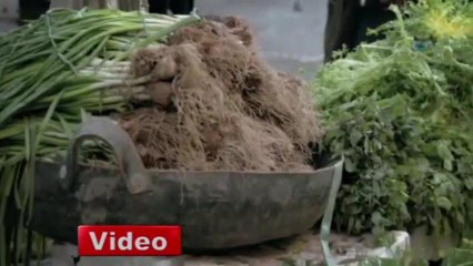 Siirt Belediyesi'nin Tüm Mallarına Haciz Geldi