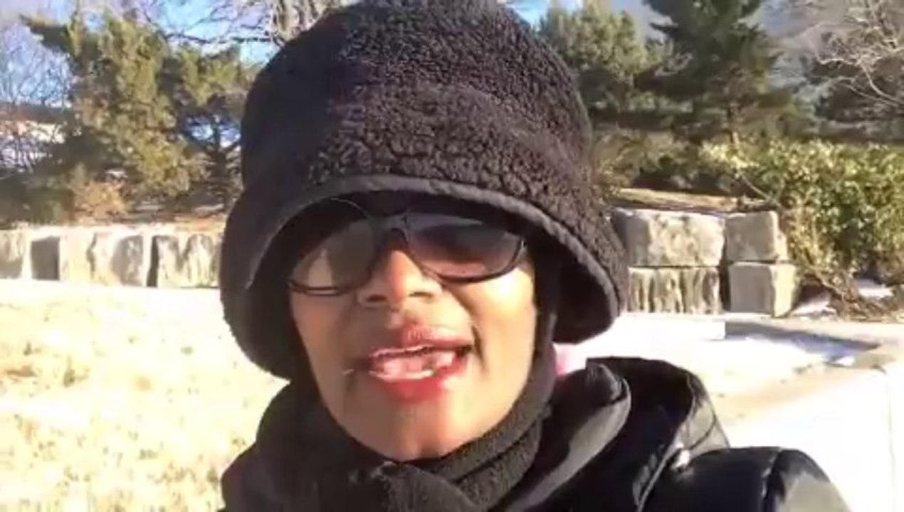 Activate Your Dreams with Internet Lifestyle Network and Freedom Tribe