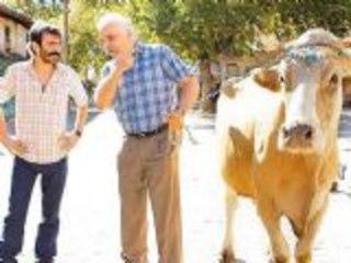 Sürgün İnek Filminin Afişi İzleyiciyle Buluştu