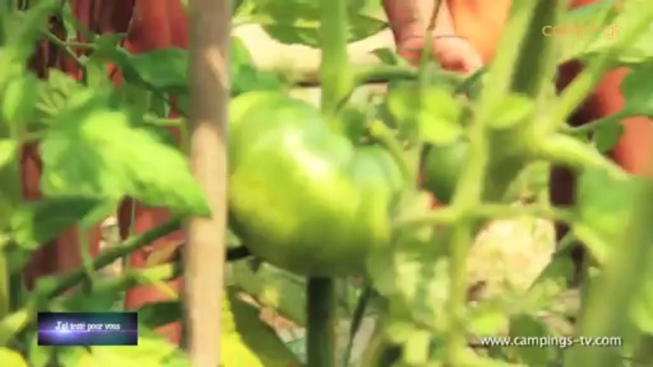 "J'ai testé pour vous" au Camping Sunêlia Les Pins *** - Argelès-sur-Mer - Pyrénées orientales (66)
