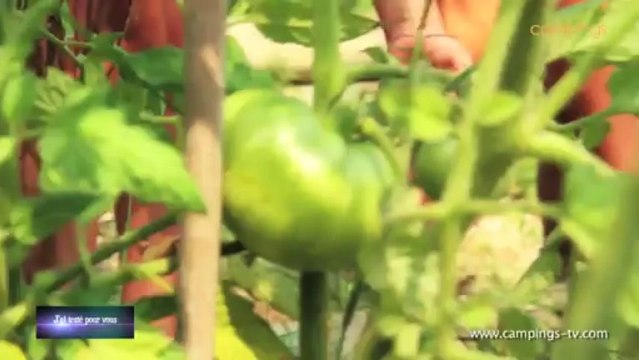 J'ai testé pour vous au Camping Sunêlia Les Pins *** - Argelès-sur-Mer - Pyrénées orientales (66)