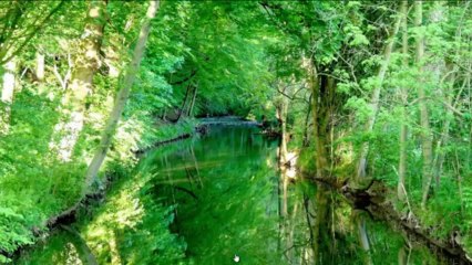 Презентация туристической составляющей компании Swiss Halley