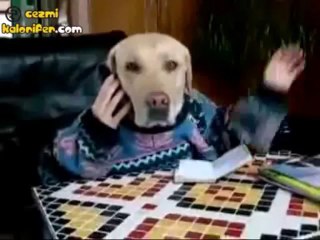 Köpek Başlı İnsan !