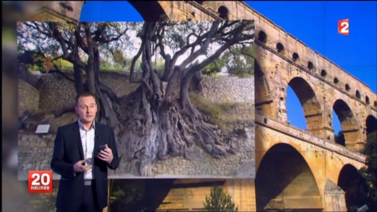 Plateau science environnement David Lefort" JT 20H France2