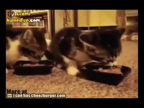 Yam yum yam yum yam yum