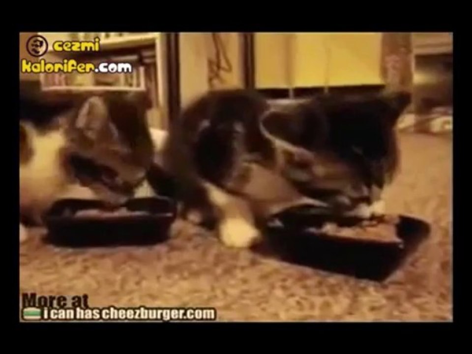 Yam yum yam yum yam yum