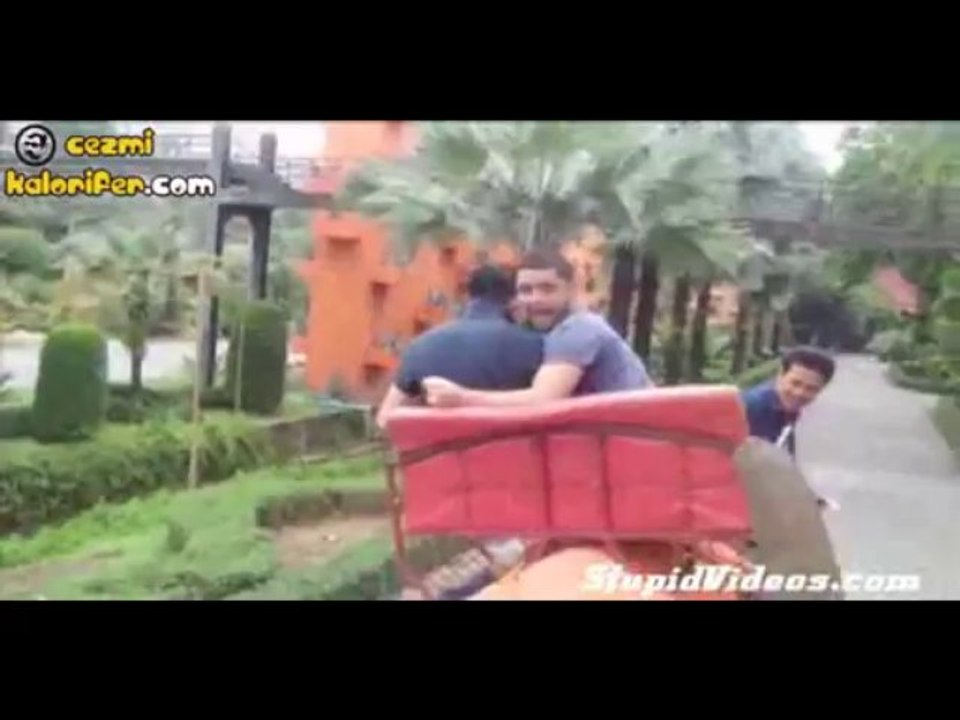 Üzerine Bindiği Filden Korkan Adamın Dramı