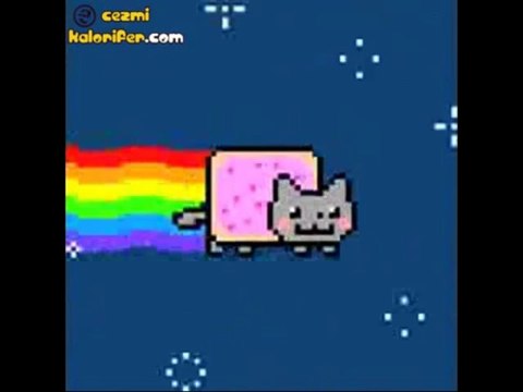Nyan Cat - Yaşama Sevincini Alan Kedi