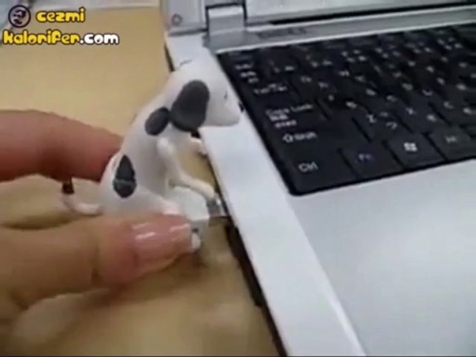 Sapık Usb